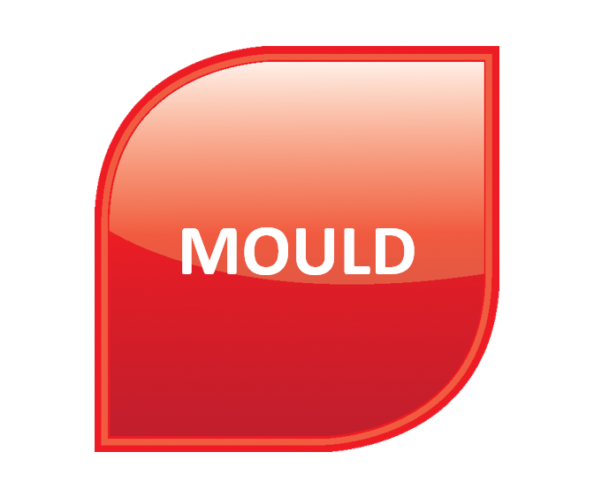 Mould