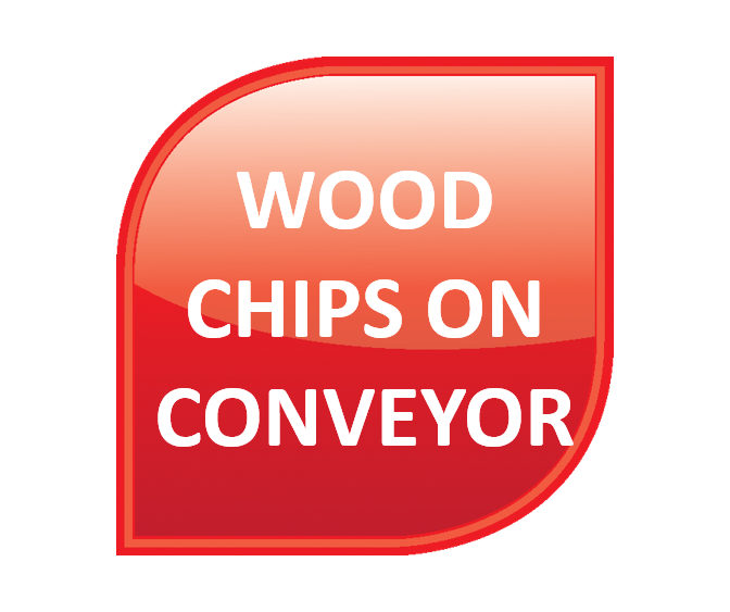 Wood - Wood Chips on Conveyor 
