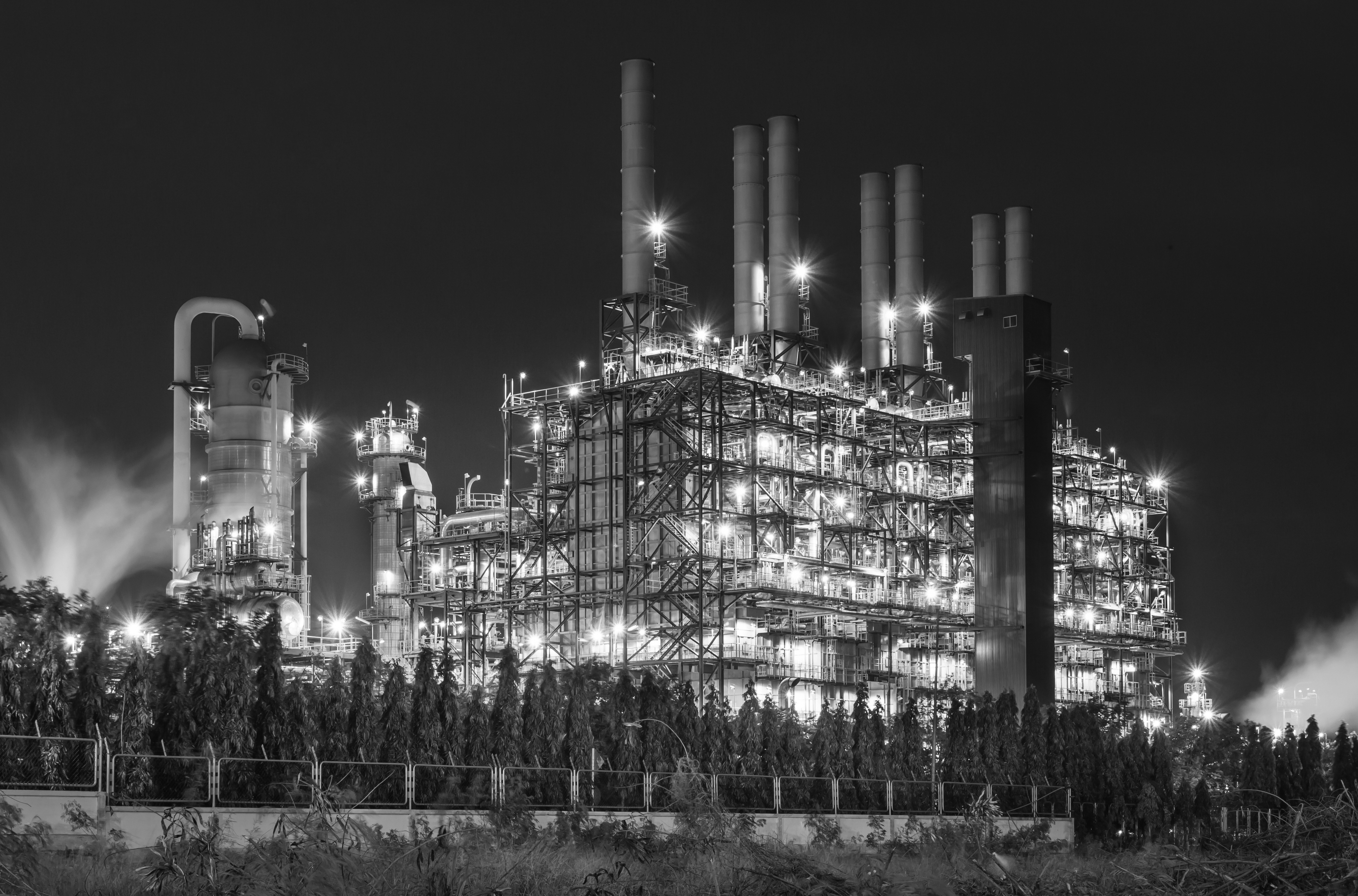 Large Ethylene Producer