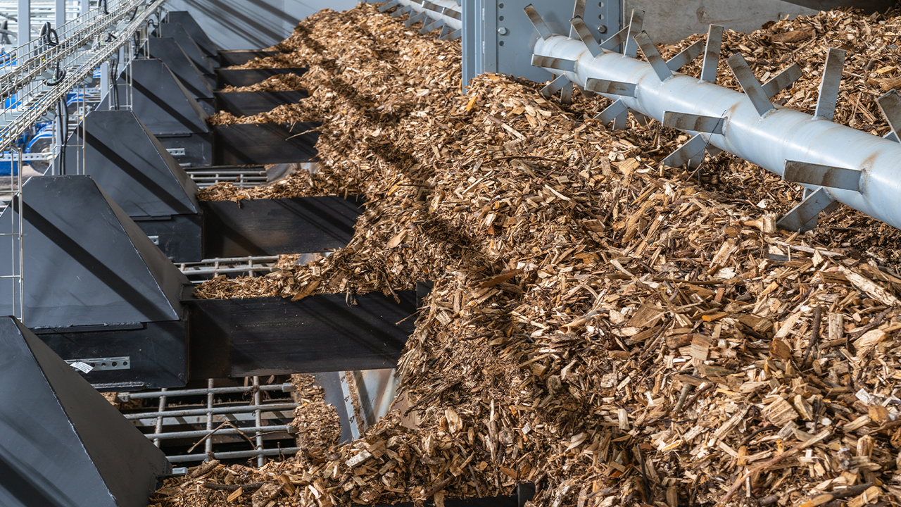 Derek Stuart - Biomass Blog