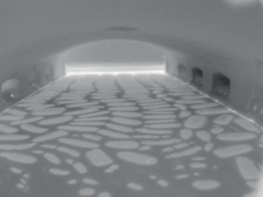 インコア熱ガラス調査